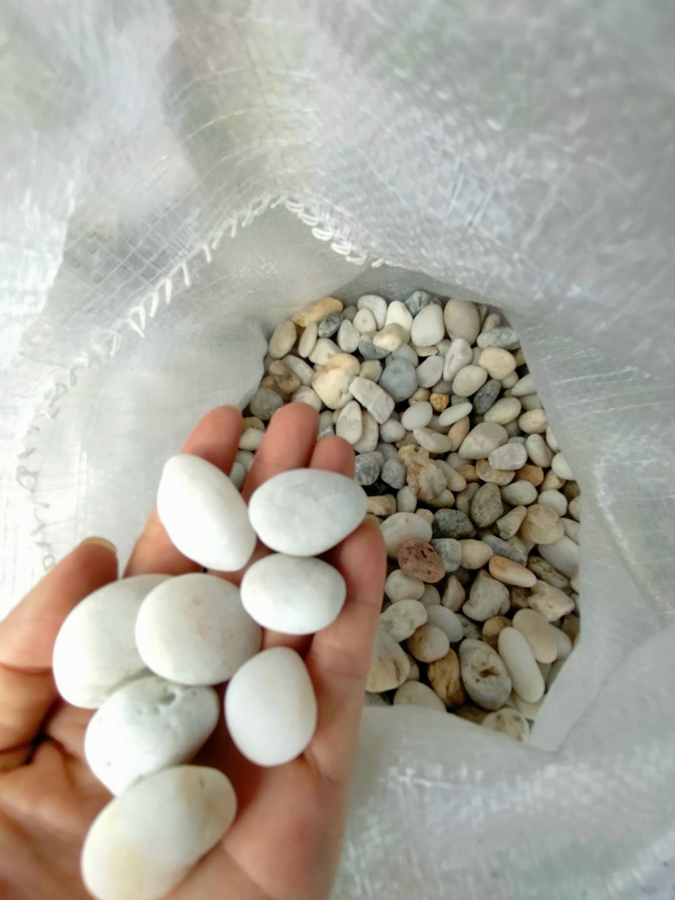 Sỏi, cuội